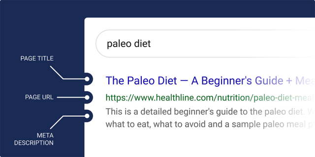 نتایج جستجوی ارگانیک (Organic Search Result)